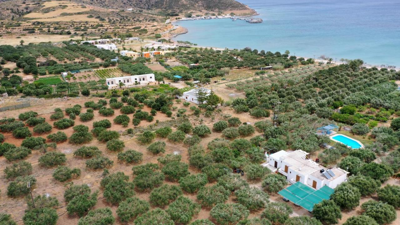 Voula'S Casa Di Mare Apartment ปาเลกาสตรอน ภายนอก รูปภาพ