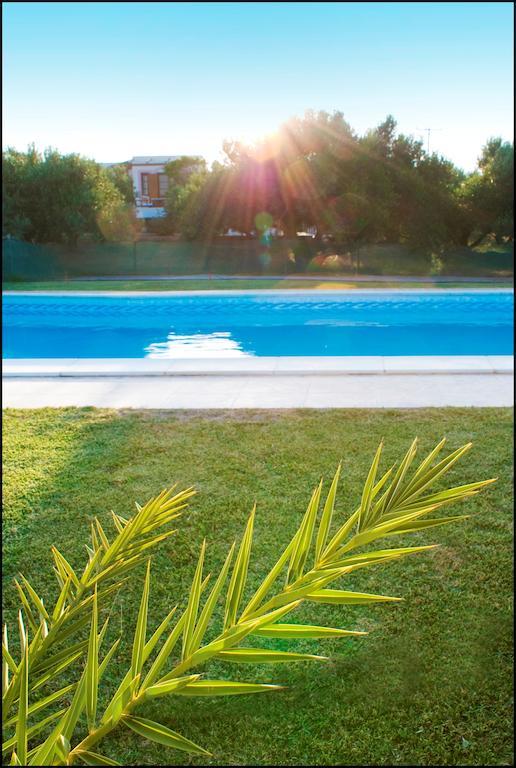 Voula'S Casa Di Mare Apartment ปาเลกาสตรอน ภายนอก รูปภาพ