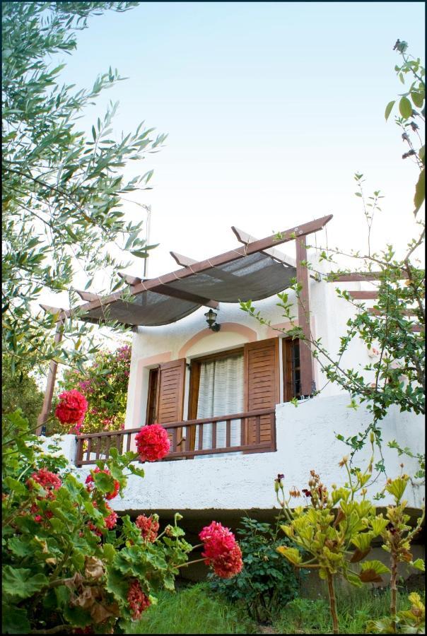 Voula'S Casa Di Mare Apartment ปาเลกาสตรอน ห้อง รูปภาพ